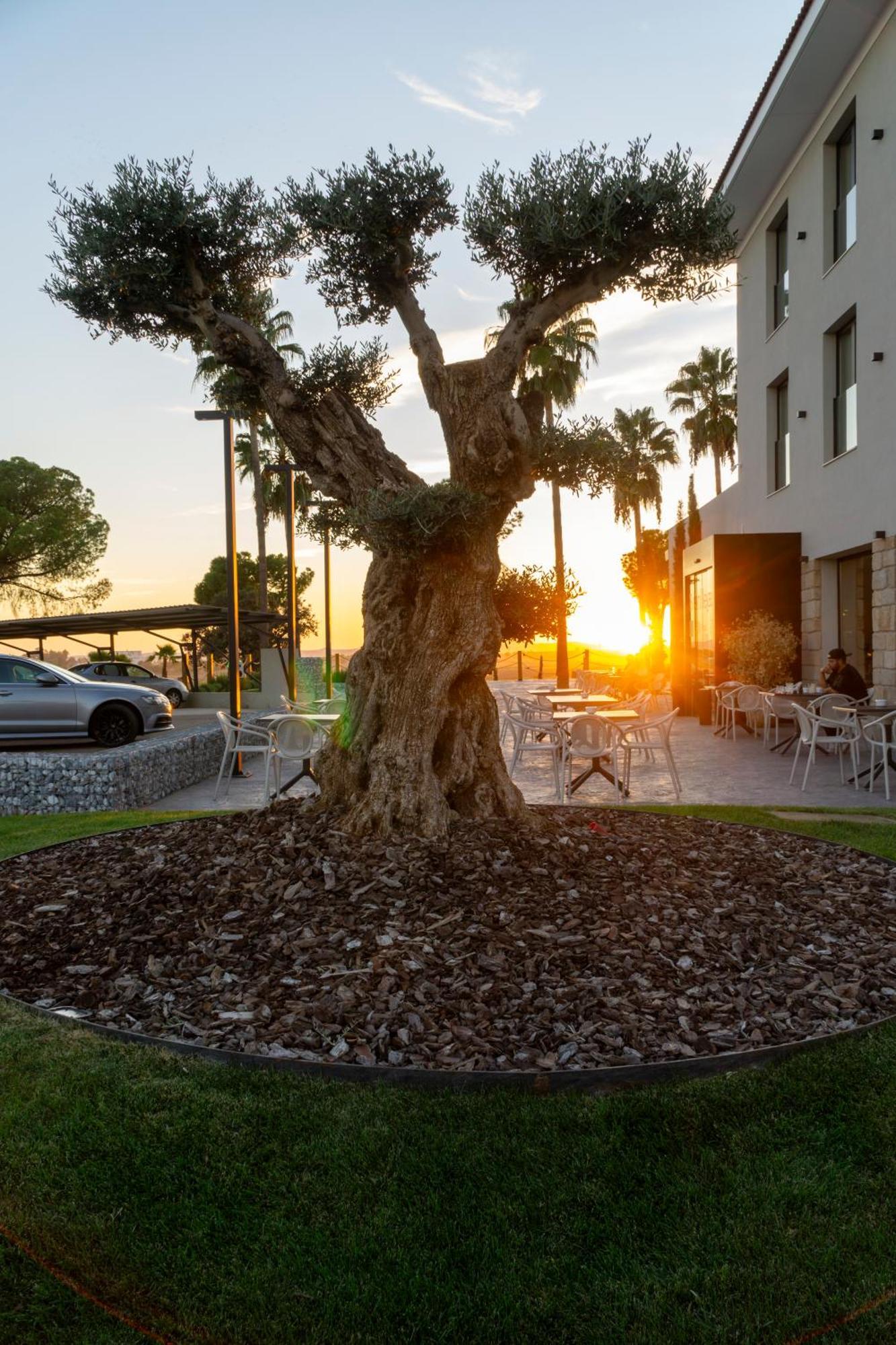 Hotel Rural Finca La Desa Miajadas Bagian luar foto